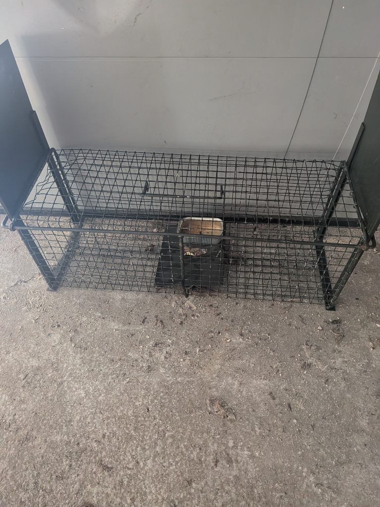 Piège de capture en métal installé pour la dératisation des rongeurs